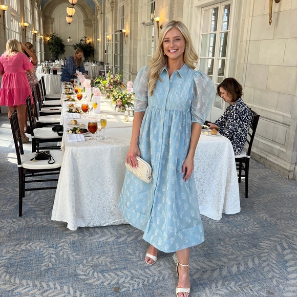 Bytimo from Nordstrom Organza puff sleeve midi dress great for a bridal shower - Picture 5 of 10